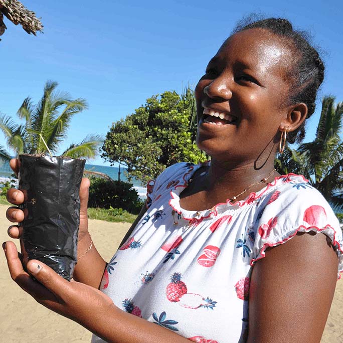 Les femmes malgaches utilisent la Cassia Alata pour prévenir et réparer les vergetures